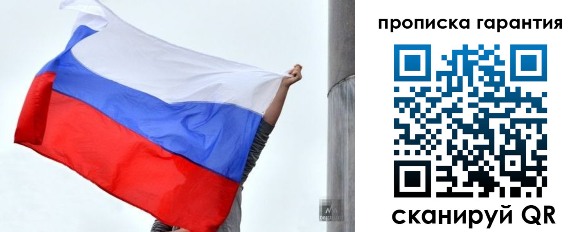прописка законно в Зеленоградске